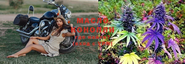 крисы Алексин